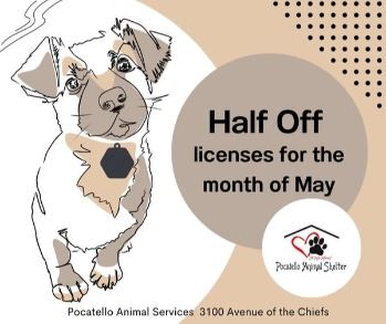 Half Priced Dog License Fee May 2023 - Copy