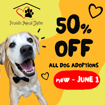 Pocatello Animal Shelter 50 Percent Off