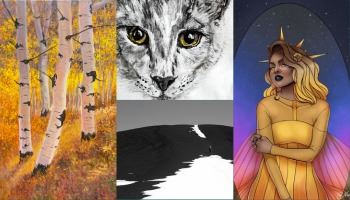 Four the works on display as part of the Pocatello Arts Council's digital exhibition. 