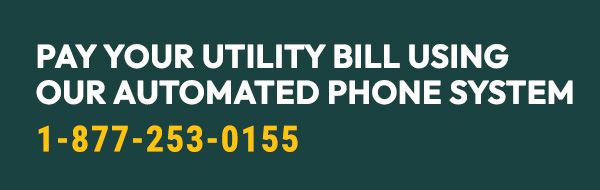 Paymentus - Pay by Phone