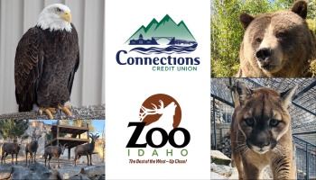 Animals at Zoo Idaho. 