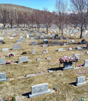 Mountain View and Restlawn Cemeteries