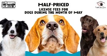 Half-priced license fees for the month of May