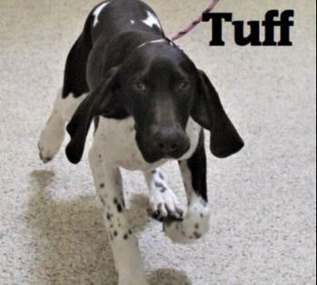 Tuff