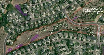 East Bench Wildfire Mitigation Project_Trees to Retain