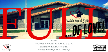 Pocatello Animal Shelter at Capacity