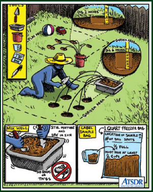 How to Collect Soil Samples 