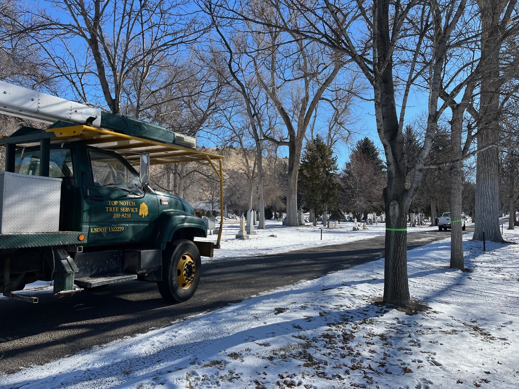 Tree Pruning at Mountain View Cemetery Feb 2025