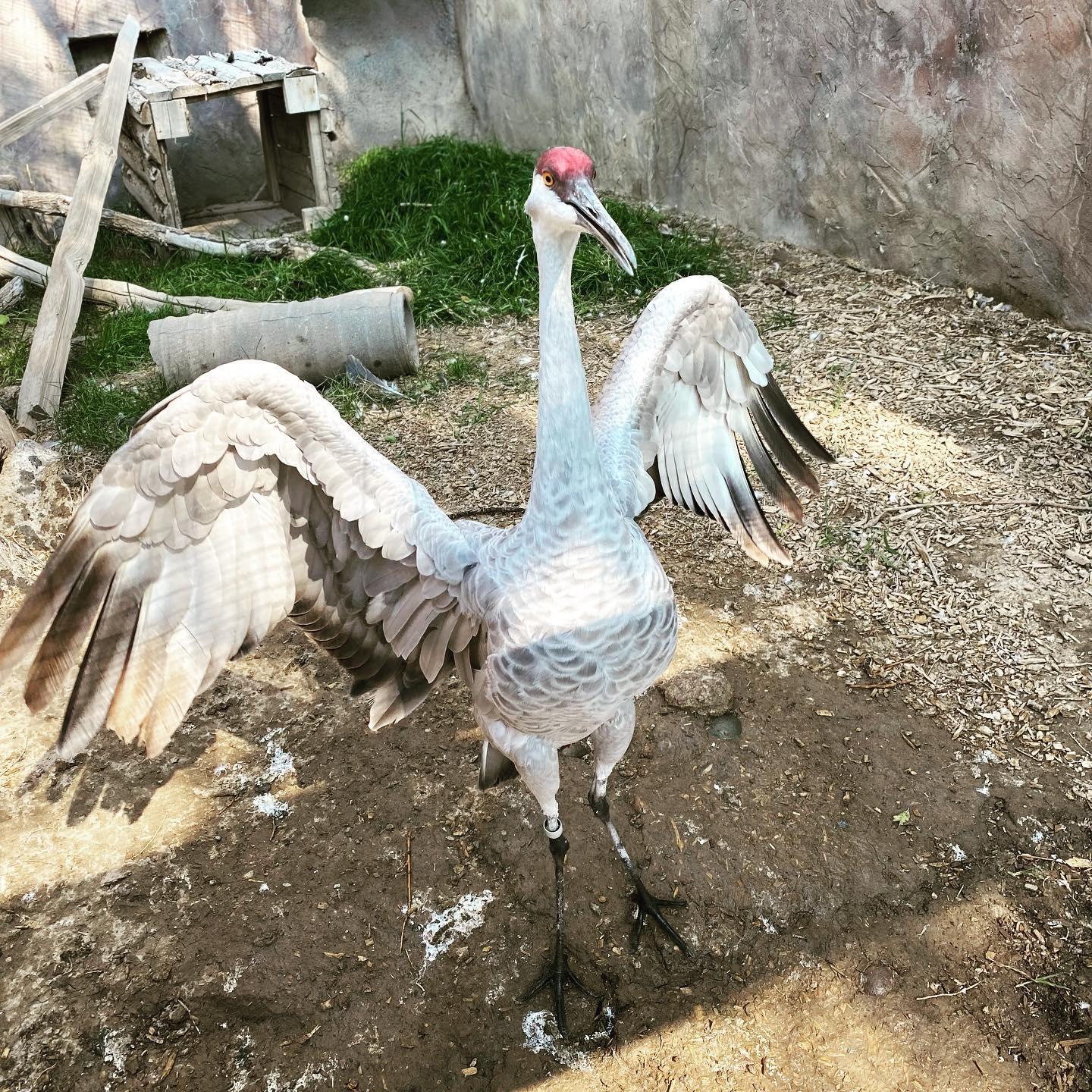 242847509_10224081280677322_4558095531671210625_n