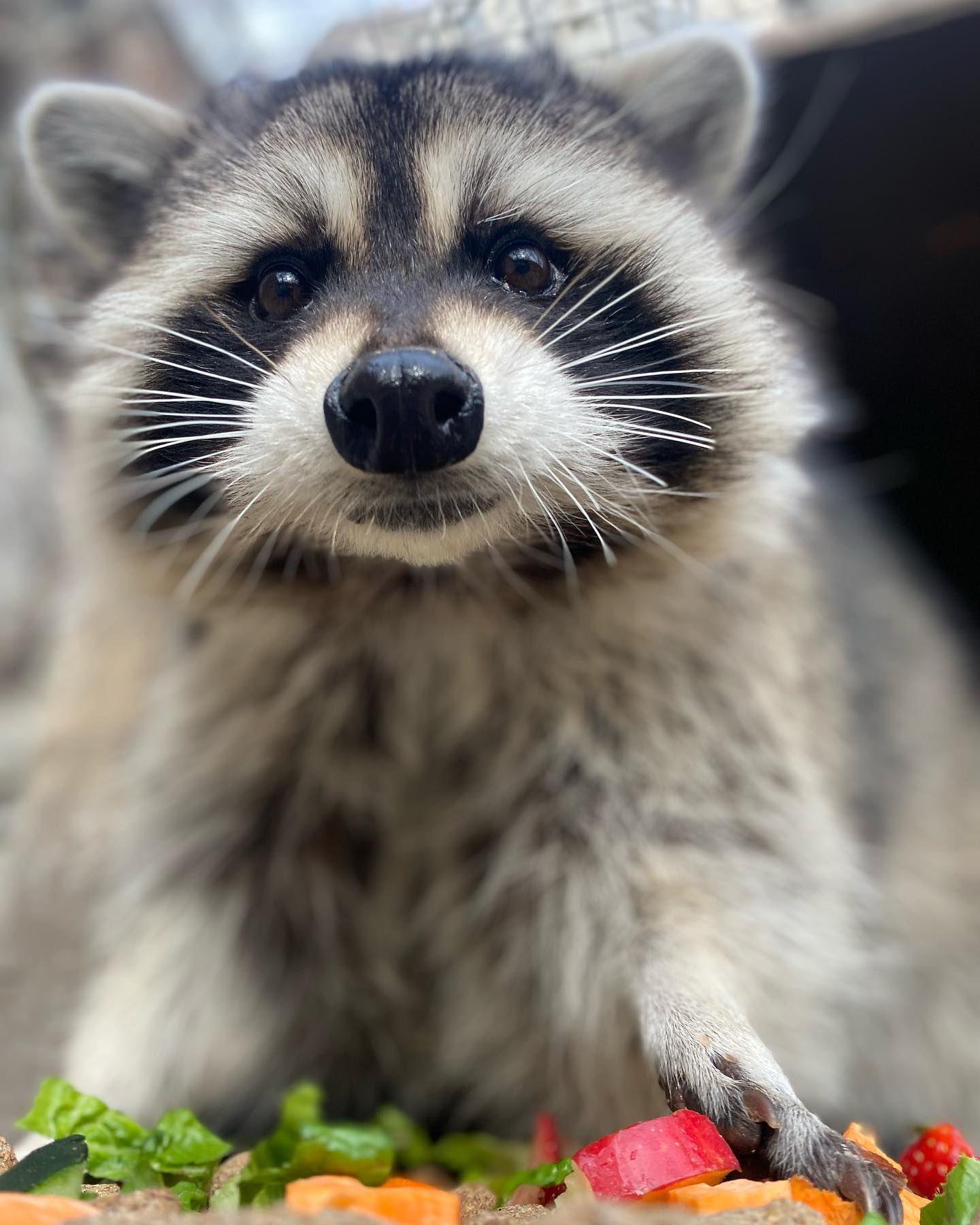 263613372_10224466525428200_7310488267855742460_n