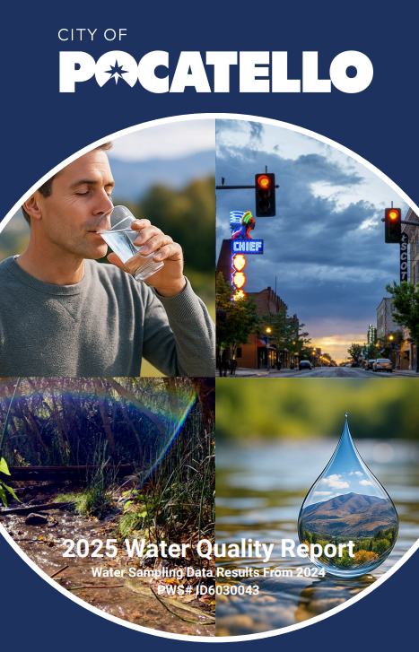 Water Quality Report 2025