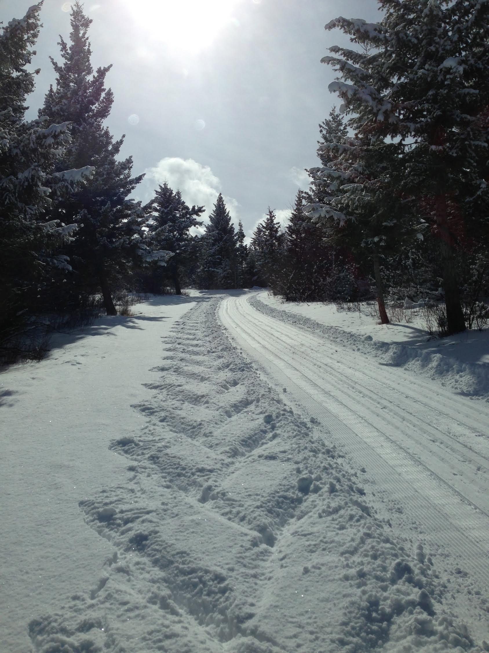 Groomed Trail